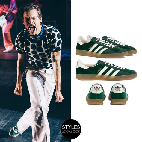 Harry Styles gucci sneakers